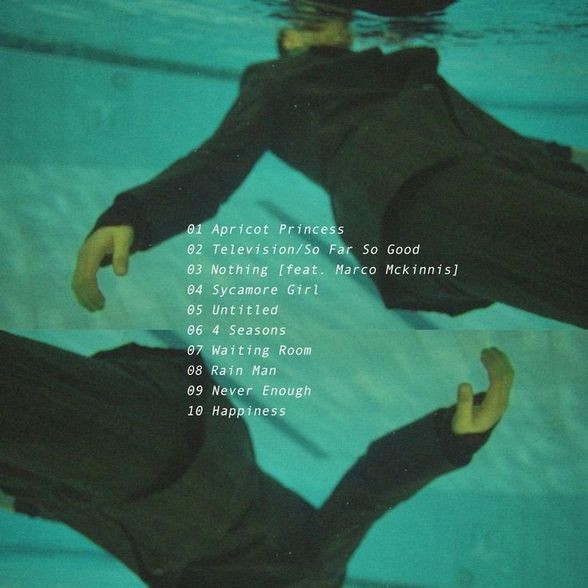 Rex Orange County - Apricot Princess (LP, Album, Ltd, Ora) - Afbeelding 2